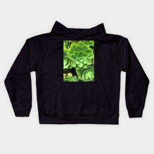 Flower-shaped succulent plant in Southern California Kids Hoodie